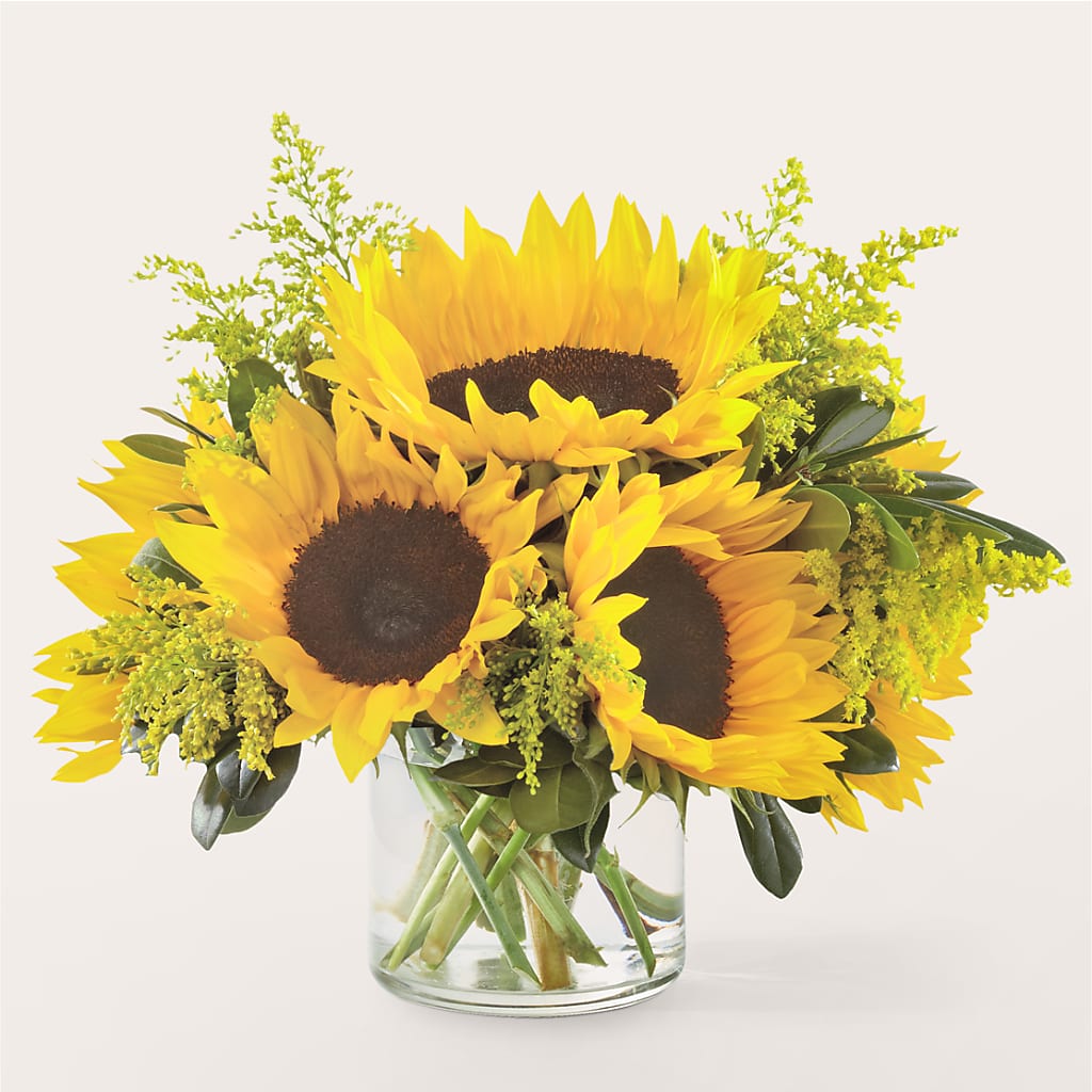 Beaming Sunflower Bouquet – ELLIOTT'S FLORIST & GIFTS, INC., Appomattox VA
