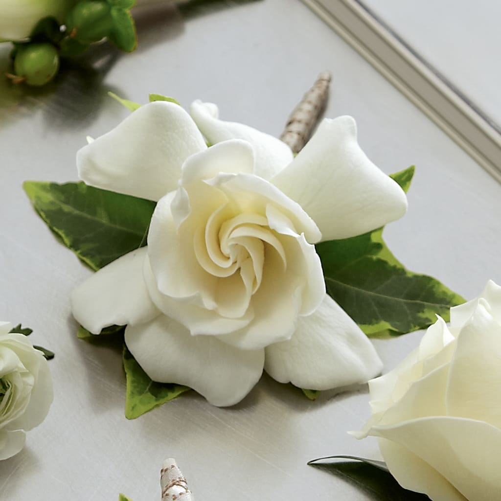 Gardenia Boutonniere – ELLIOTT'S FLORIST & GIFTS, INC., Appomattox VA