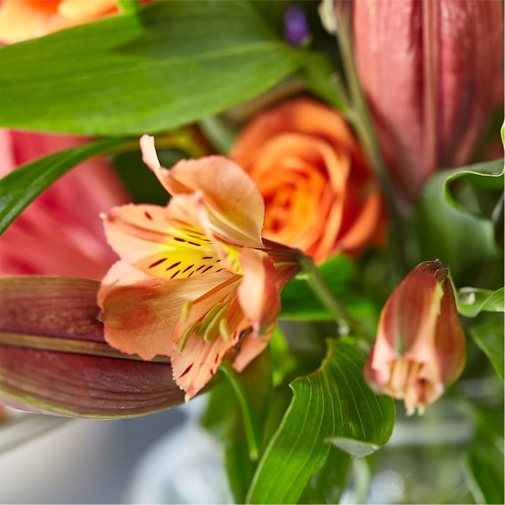 Bold & Bright – A Florist Original – ELLIOTT'S FLORIST & GIFTS, INC., Appomattox VA