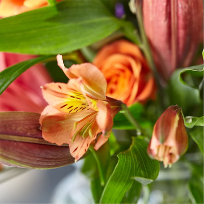 Bold & Bright – A Florist Original – ELLIOTT'S FLORIST & GIFTS, INC., Appomattox VA