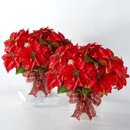 Happiest Holidays Poinsettia Bundle – ELLIOTT'S FLORIST & GIFTS, INC., Appomattox VA
