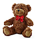 Adorable Plush Bear – ELLIOTT'S FLORIST & GIFTS, INC., Appomattox VA