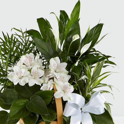 Peace & Serenity Dishgarden – ELLIOTT'S FLORIST & GIFTS, INC., Appomattox VA