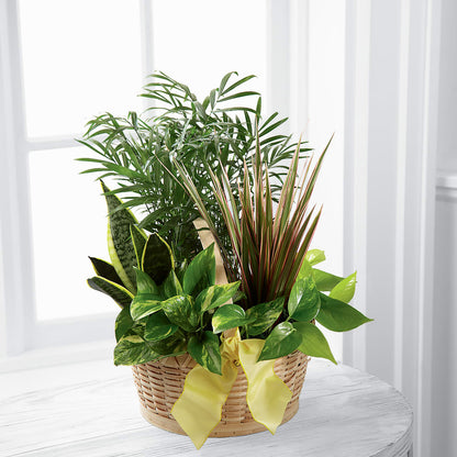 French Garden – ELLIOTT'S FLORIST & GIFTS, INC., Appomattox VA