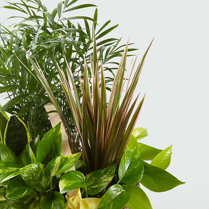 French Garden – ELLIOTT'S FLORIST & GIFTS, INC., Appomattox VA