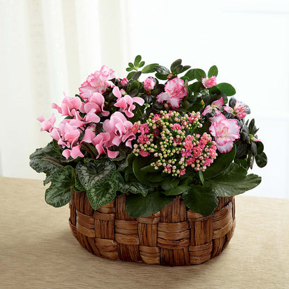 Pink Assortment – ELLIOTT'S FLORIST & GIFTS, INC., Appomattox VA