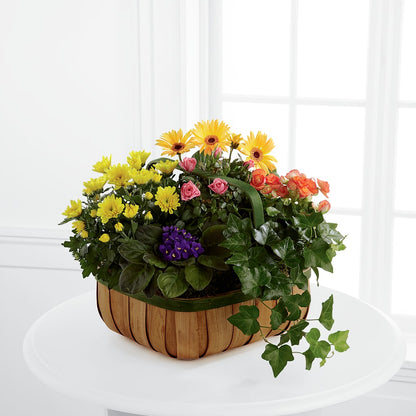 Gentle Blossoms Basket – ELLIOTT'S FLORIST & GIFTS, INC., Appomattox VA