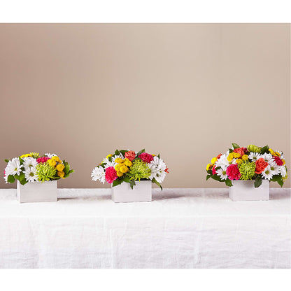 Sorbet Bouquet – ELLIOTT'S FLORIST & GIFTS, INC., Appomattox VA