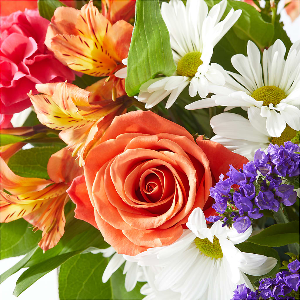Oopsie Daisy Box Bouquet – ELLIOTT'S FLORIST & GIFTS, INC., Appomattox VA