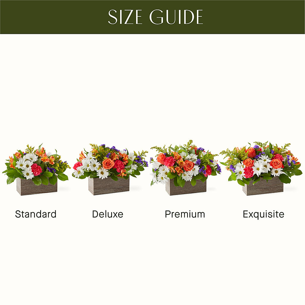 Oopsie Daisy Box Bouquet – ELLIOTT'S FLORIST & GIFTS, INC., Appomattox VA