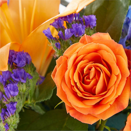 Radiant Citrus Box Bouquet – ELLIOTT'S FLORIST & GIFTS, INC., Appomattox VA