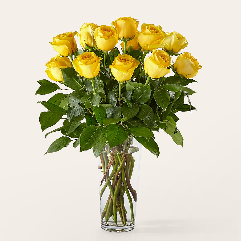 Long Stem Yellow Rose Bouquet – ELLIOTT'S FLORIST & GIFTS, INC., Appomattox VA
