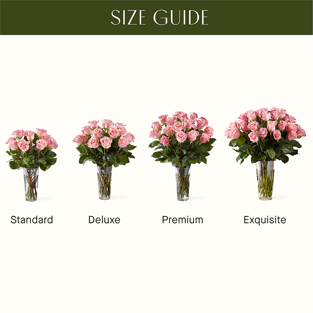 Long Stem Pink Rose Bouquet – ELLIOTT'S FLORIST & GIFTS, INC., Appomattox VA