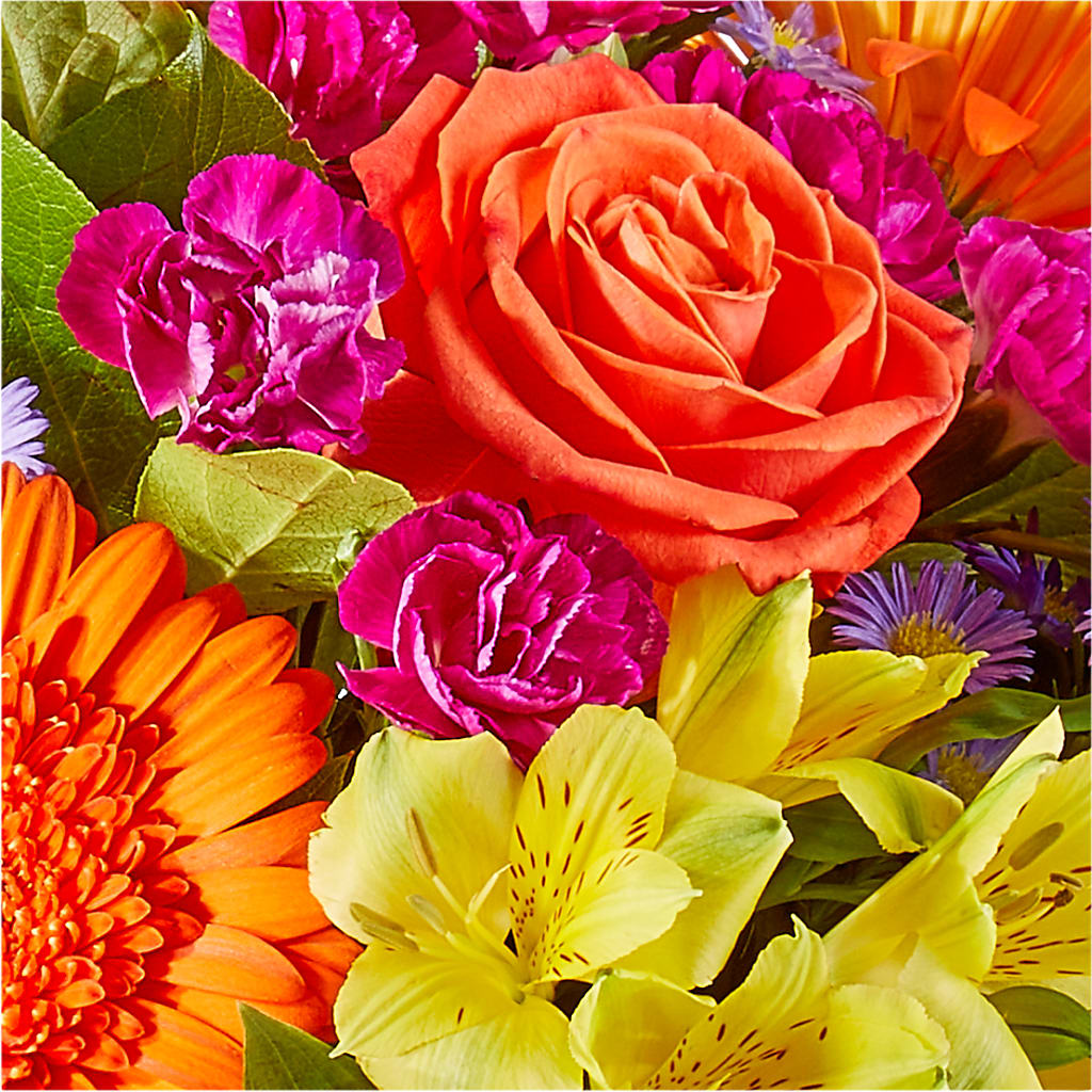 Tricks & Treats Pumpkin – ELLIOTT'S FLORIST & GIFTS, INC., Appomattox VA