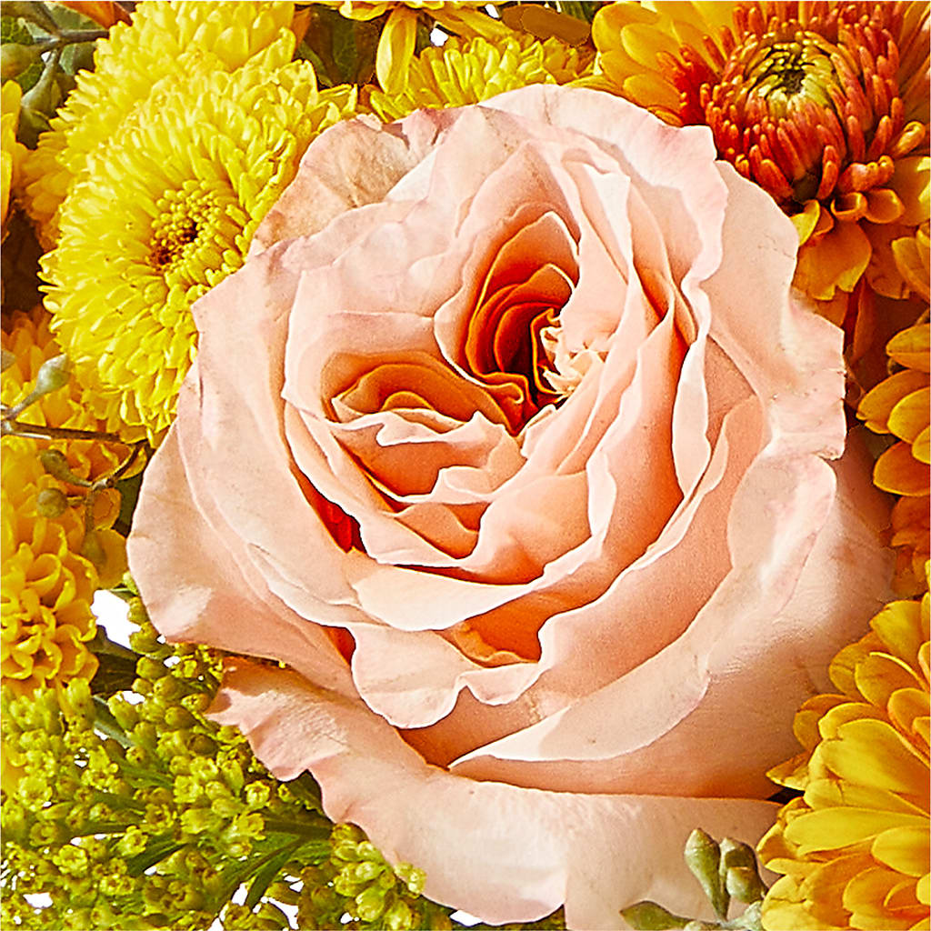 Peachy Pumpkin – ELLIOTT'S FLORIST & GIFTS, INC., Appomattox VA