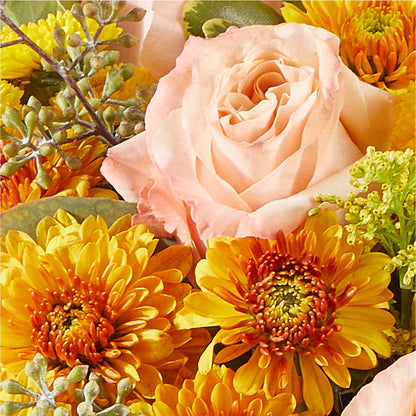 Peachy Pumpkin – ELLIOTT'S FLORIST & GIFTS, INC., Appomattox VA