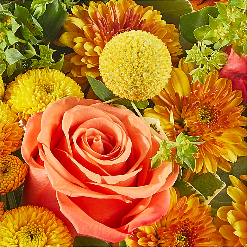 Gourdgeous Pumpkin – ELLIOTT'S FLORIST & GIFTS, INC., Appomattox VA