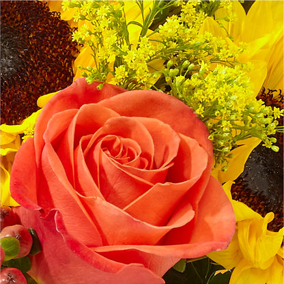 Pick of the Patch Pumpkin Bouquet – ELLIOTT'S FLORIST & GIFTS, INC., Appomattox VA