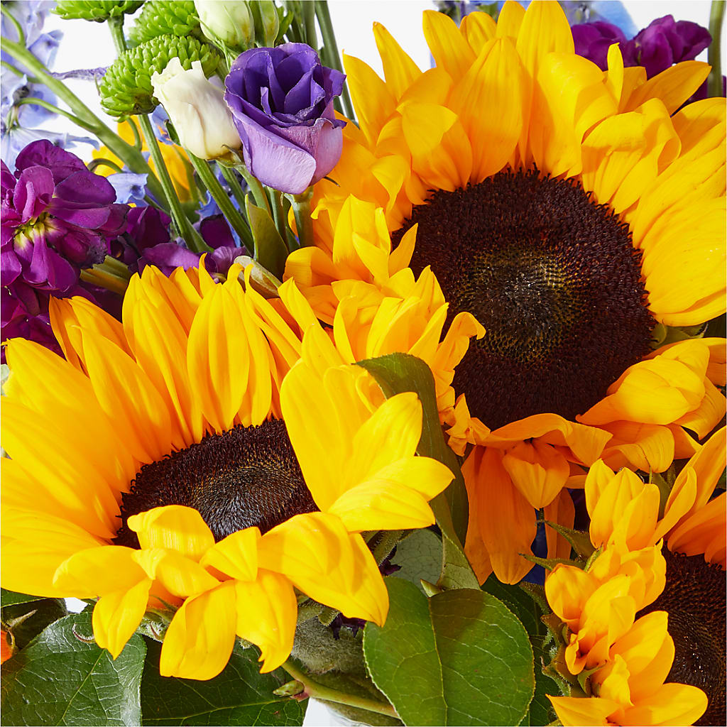 Catching Rays Bouquet – ELLIOTT'S FLORIST & GIFTS, INC., Appomattox VA
