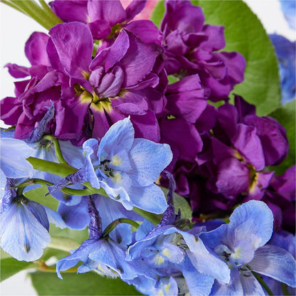 Twilight Glow Bouquet – ELLIOTT'S FLORIST & GIFTS, INC., Appomattox VA