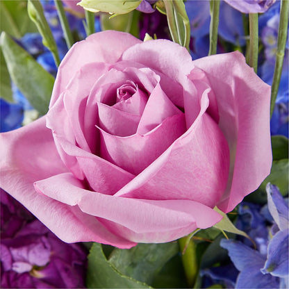 Twilight Glow Bouquet – ELLIOTT'S FLORIST & GIFTS, INC., Appomattox VA