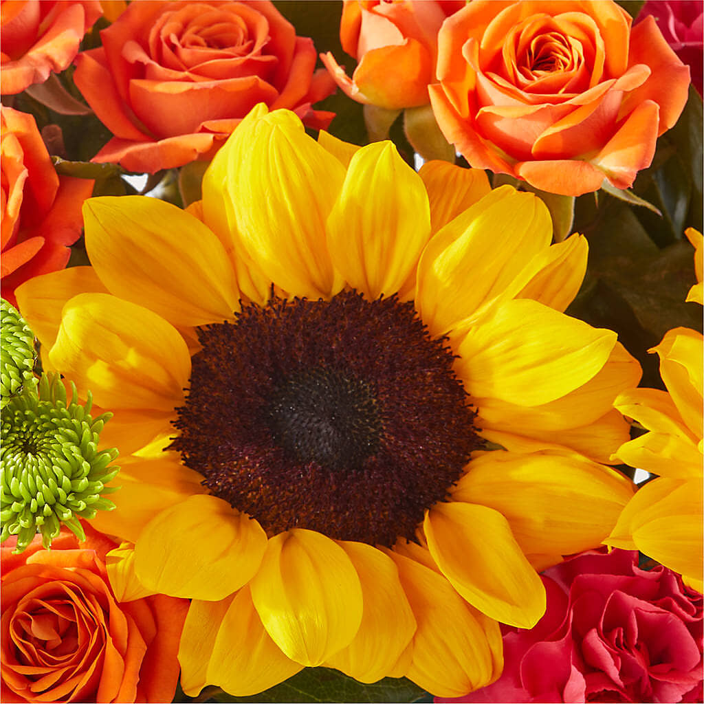 Sun-drenched Blooms Box Bouquet – ELLIOTT'S FLORIST & GIFTS, INC., Appomattox VA