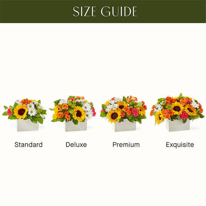 Sun-drenched Blooms Box Bouquet – ELLIOTT'S FLORIST & GIFTS, INC., Appomattox VA