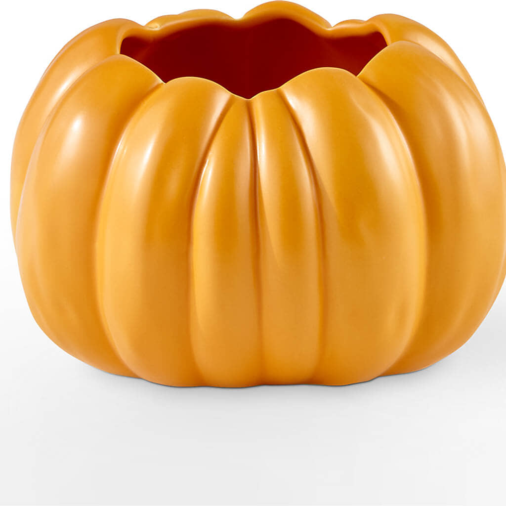 Golden Gourd Pumpkin Bouquet – ELLIOTT'S FLORIST & GIFTS, INC., Appomattox VA