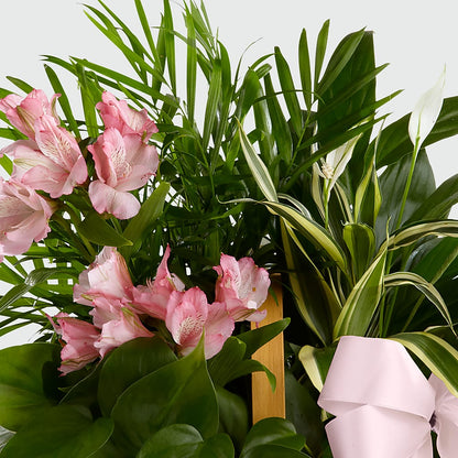 Living Spirit Dishgarden – ELLIOTT'S FLORIST & GIFTS, INC., Appomattox VA