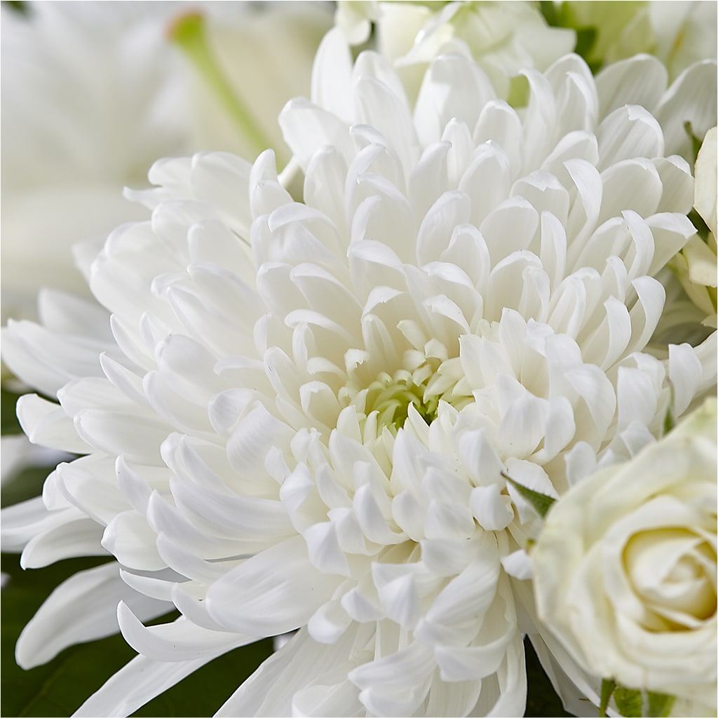 Classic Ivory – A Florist Original – ELLIOTT'S FLORIST & GIFTS, INC., Appomattox VA