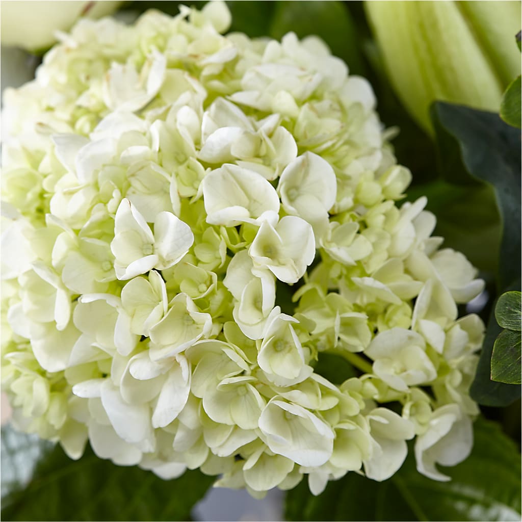 Classic Ivory – A Florist Original – ELLIOTT'S FLORIST & GIFTS, INC., Appomattox VA