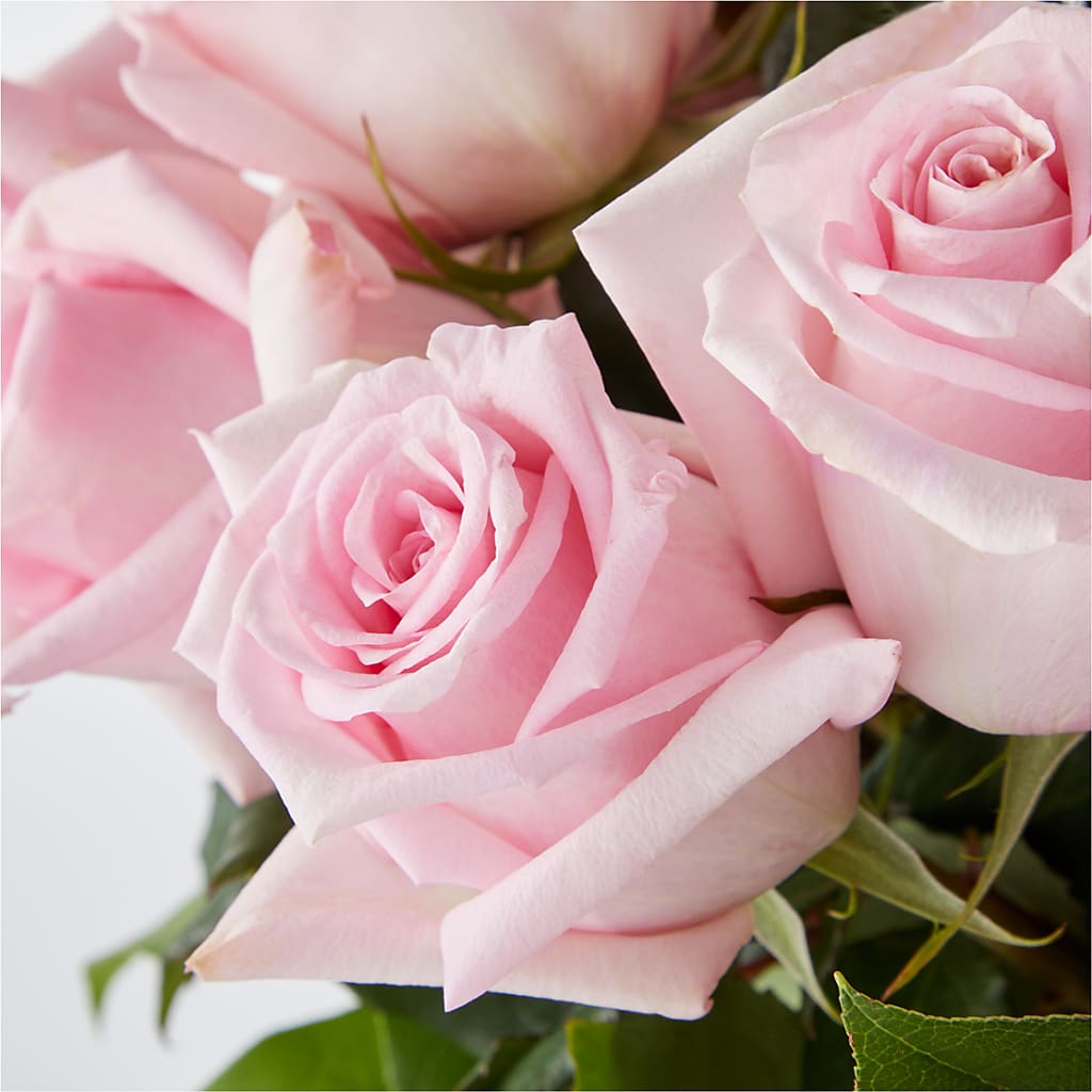 Picture Perfect Pink Rose Bouquet – ELLIOTT'S FLORIST & GIFTS, INC., Appomattox VA