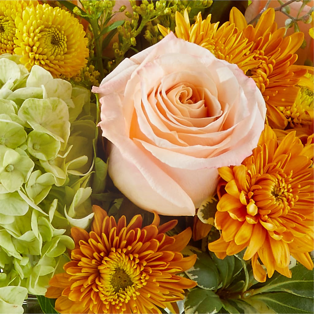 Fall Foliage Bouquet – ELLIOTT'S FLORIST & GIFTS, INC., Appomattox VA