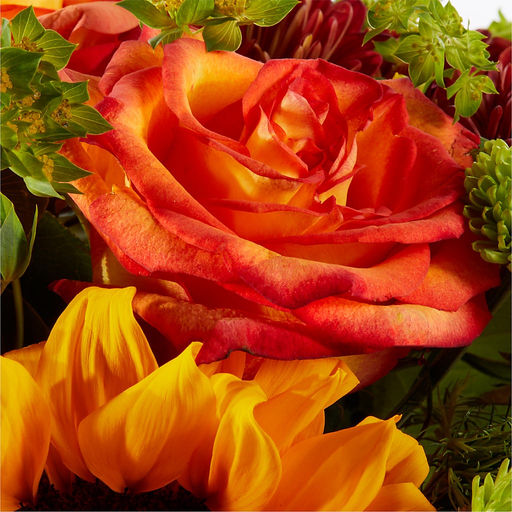 Harvest Festival Bouquet – ELLIOTT'S FLORIST & GIFTS, INC., Appomattox VA