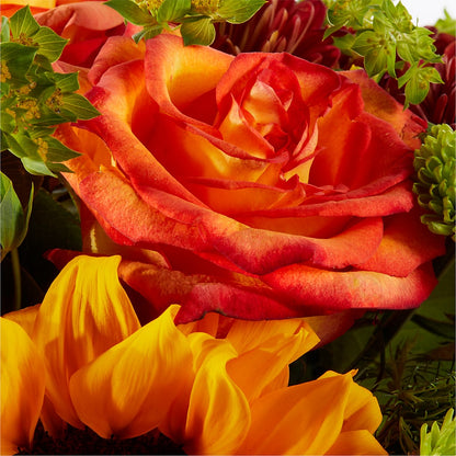 Harvest Festival Bouquet – ELLIOTT'S FLORIST & GIFTS, INC., Appomattox VA