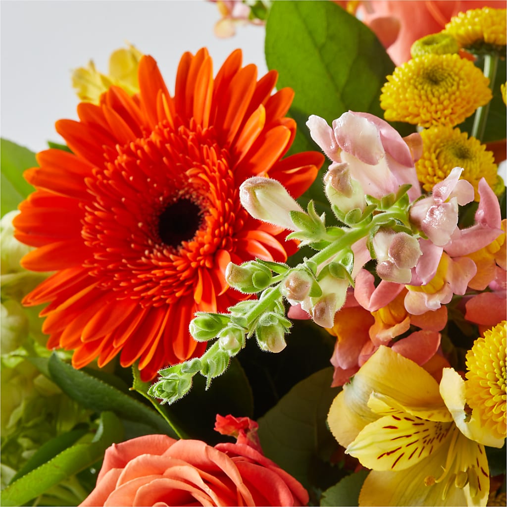 Autumn Sunshine Bouquet – ELLIOTT'S FLORIST & GIFTS, INC., Appomattox VA