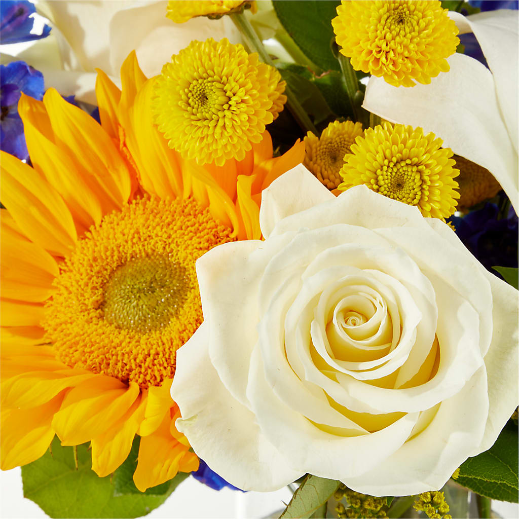 Stargazing Bouquet – ELLIOTT'S FLORIST & GIFTS, INC., Appomattox VA