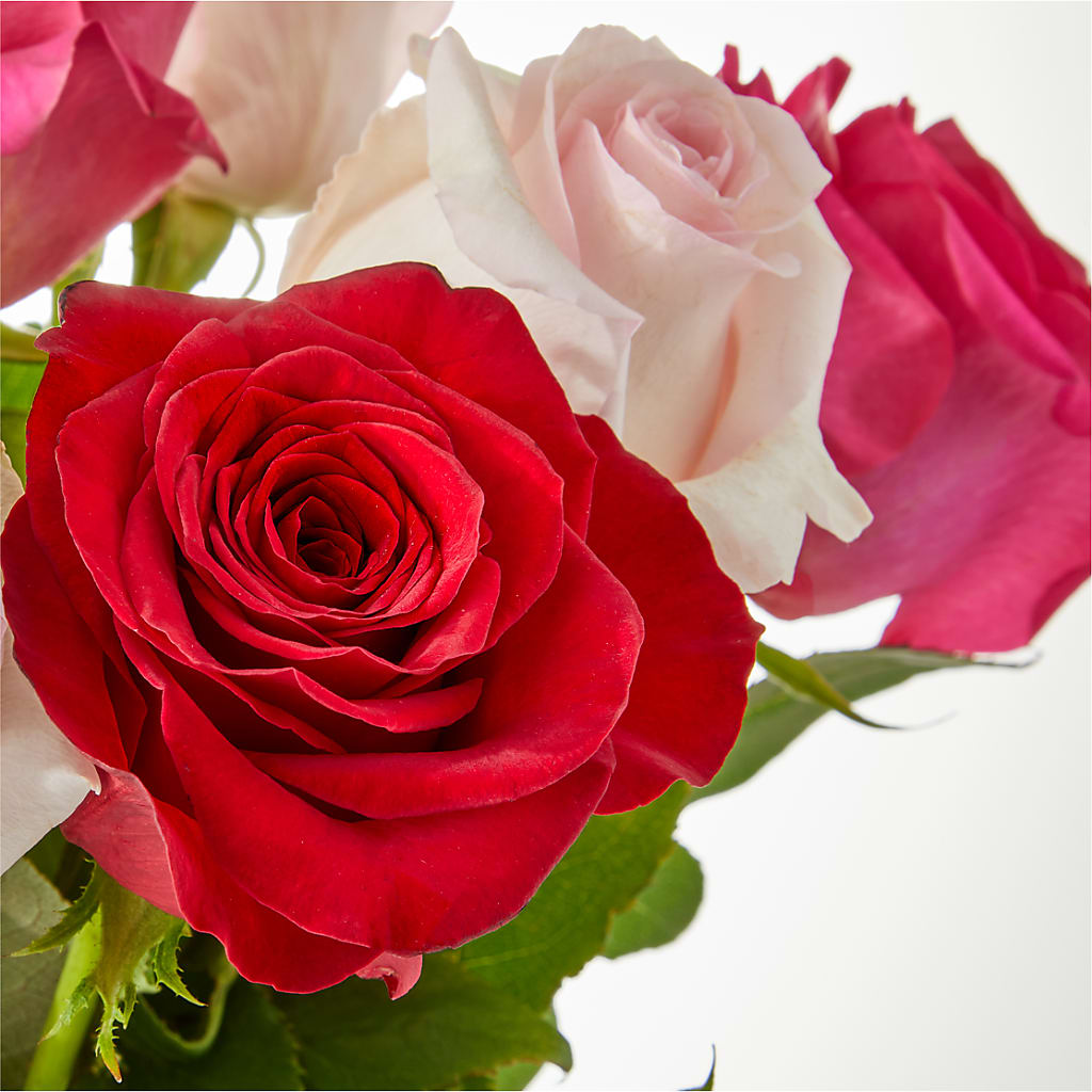 Charming Rose Bouquet – ELLIOTT'S FLORIST & GIFTS, INC., Appomattox VA