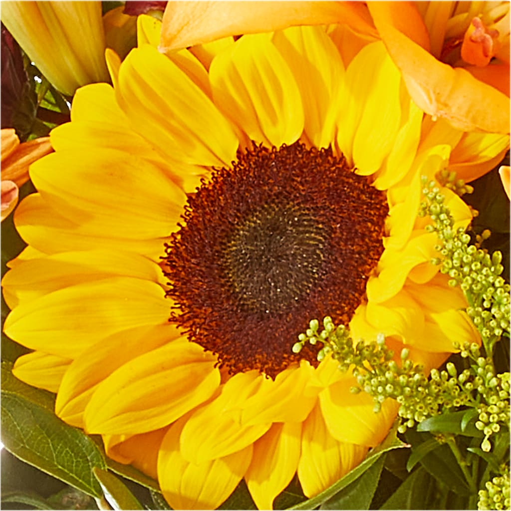 Seasons Change Bouquet – ELLIOTT'S FLORIST & GIFTS, INC., Appomattox VA