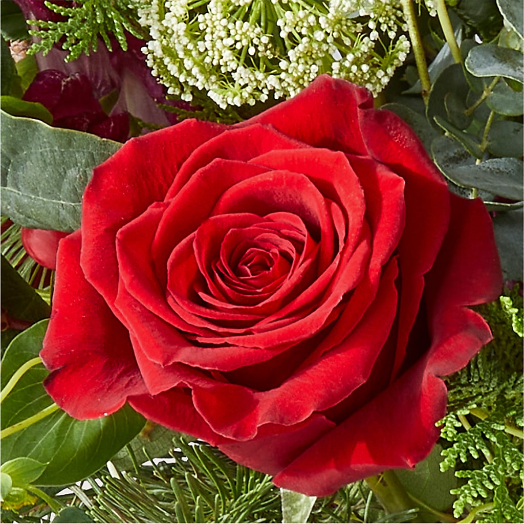 Cranberry Fizz Bouquet – ELLIOTT'S FLORIST & GIFTS, INC., Appomattox VA