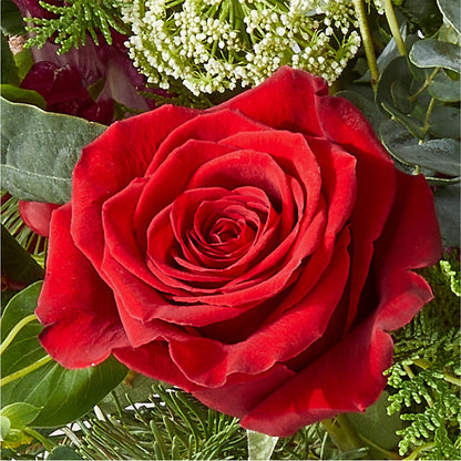 Cranberry Fizz Bouquet – ELLIOTT'S FLORIST & GIFTS, INC., Appomattox VA