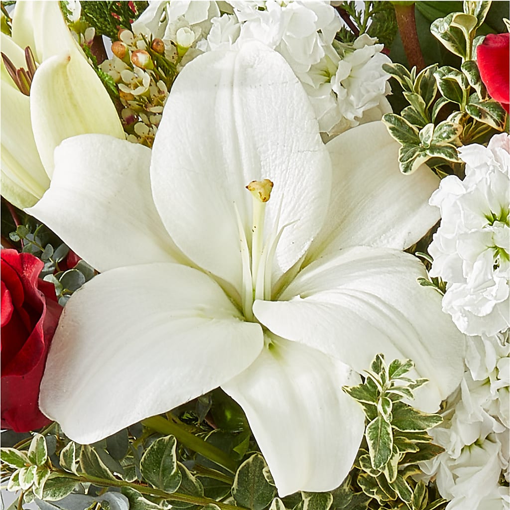 Twinkle Lights Bouquet – ELLIOTT'S FLORIST & GIFTS, INC., Appomattox VA