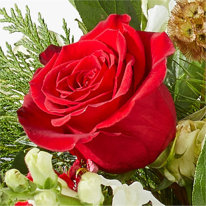 Deck the Halls Bouquet – ELLIOTT'S FLORIST & GIFTS, INC., Appomattox VA