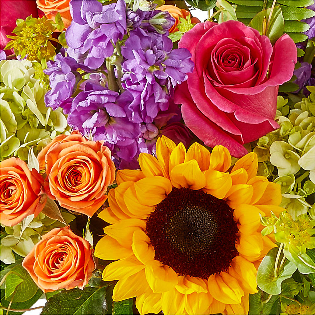 Vibrant Greetings Bouquet – ELLIOTT'S FLORIST & GIFTS, INC., Appomattox VA