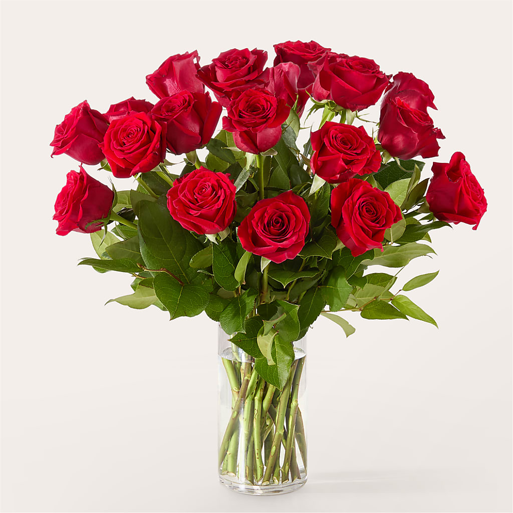 The One Red Rose Bouquet – ELLIOTT'S FLORIST & GIFTS, INC., Appomattox VA