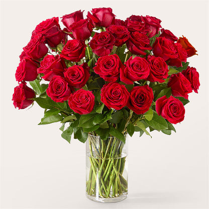 The One Red Rose Bouquet – ELLIOTT'S FLORIST & GIFTS, INC., Appomattox VA