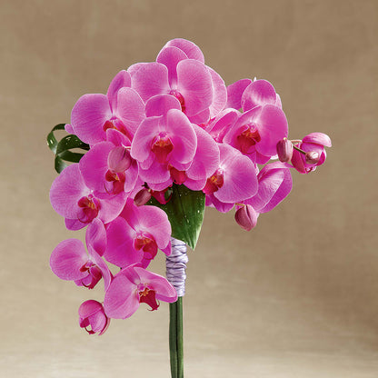 Glorious Bouquet – ELLIOTT'S FLORIST & GIFTS, INC., Appomattox VA