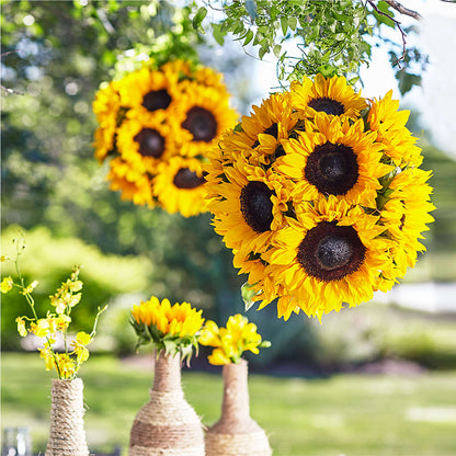 Sublime Garden Hanging Arrangement – ELLIOTT'S FLORIST & GIFTS, INC., Appomattox VA