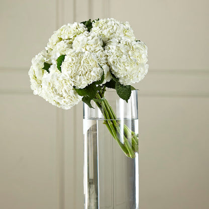 White Hydrangea Hand-Tied Bouquet – ELLIOTT'S FLORIST & GIFTS, INC., Appomattox VA