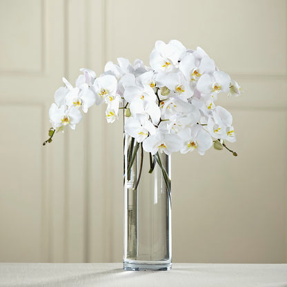 White Phalaenopsis Bouquet – ELLIOTT'S FLORIST & GIFTS, INC., Appomattox VA